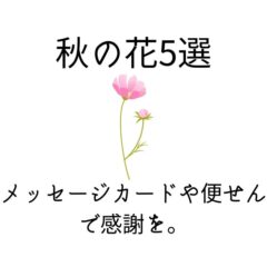 秋の花5選メッセージカードや便せんで大切な人へ季節の感謝を贈ろう