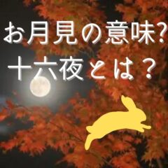 秋を味わうお月見の十六夜とは？ウサギのメッセージカードを送ろう