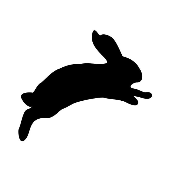 うさぎ