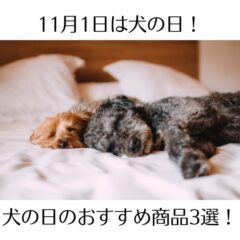 11月1日は犬の日！【犬の日のおすすめ商品3選！】
