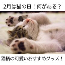 2月は猫の日！何がある？猫柄の可愛いおすすめグッズ！