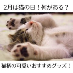 2月は猫の日！何がある？猫柄の可愛いおすすめグッズ！